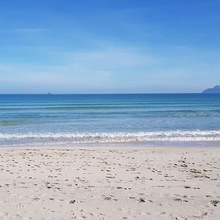 Ideal Property Mallorca - Blue Palm Beach Alcudia  Bagian luar foto